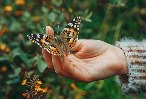 hashimoto hypothyroidism